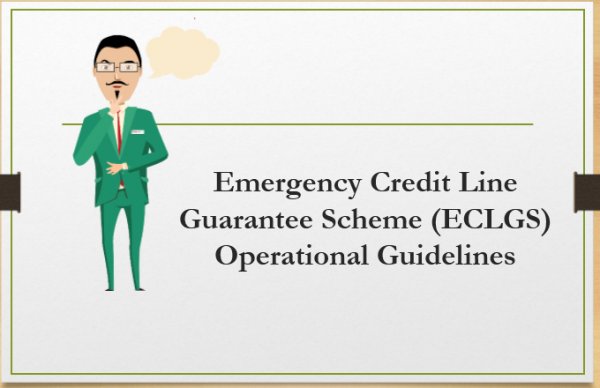 Emergency credit Guarantee Scheme (ECLGS)